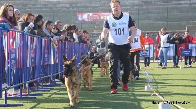 140 köpek katıldı
