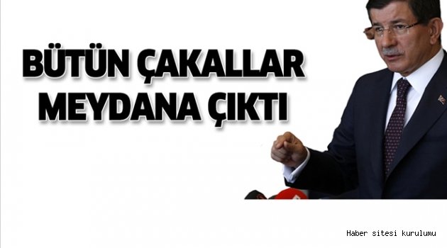 Davutoğlu: ´Puslu havayı seven çakallar meydana çıktı´