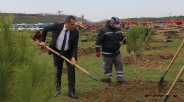 İBB KARBON AYAK İZİ HATIRA ORMANI