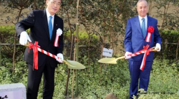 JAPONYA’DA BAHARI ERGUVANLAR MÜJDELEYECEK