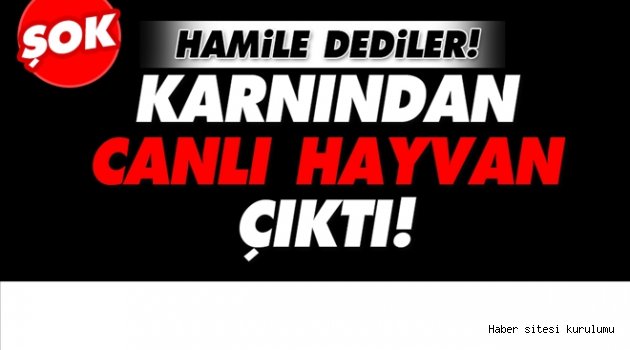 Karnından canlı hayvan çıktı