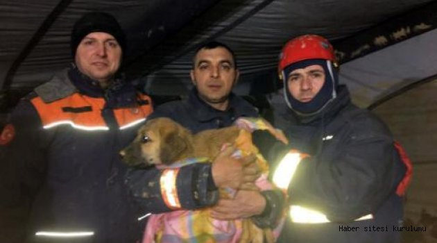 KUYUDA MAHSUR KALAN KÖPEK KURTARILDI