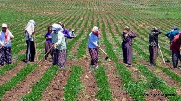 Mevsimlik Tarım İşçilerinin Çocuklarına “Mobil“ Sınıflar Açılacak
