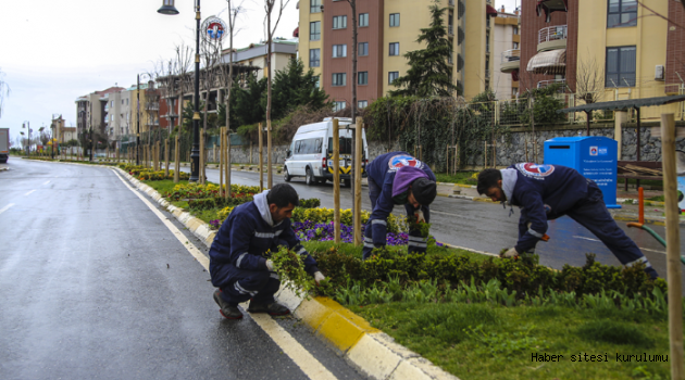 Parklara bahar geldi