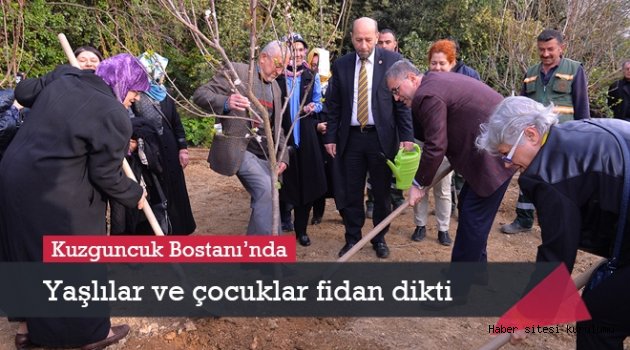 Üsküdar´da 3 bin meyve fidanı toprakla buluştu