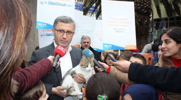 Üsküdar’daki Öğrenciler Kedilere Ev Yaptı