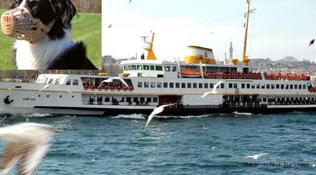 VAPURLARDA KÖPEKLER AĞIZLIKLA SEYAHAT EDEBİLECEK